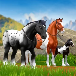 Star Equestrian – Pferderanch