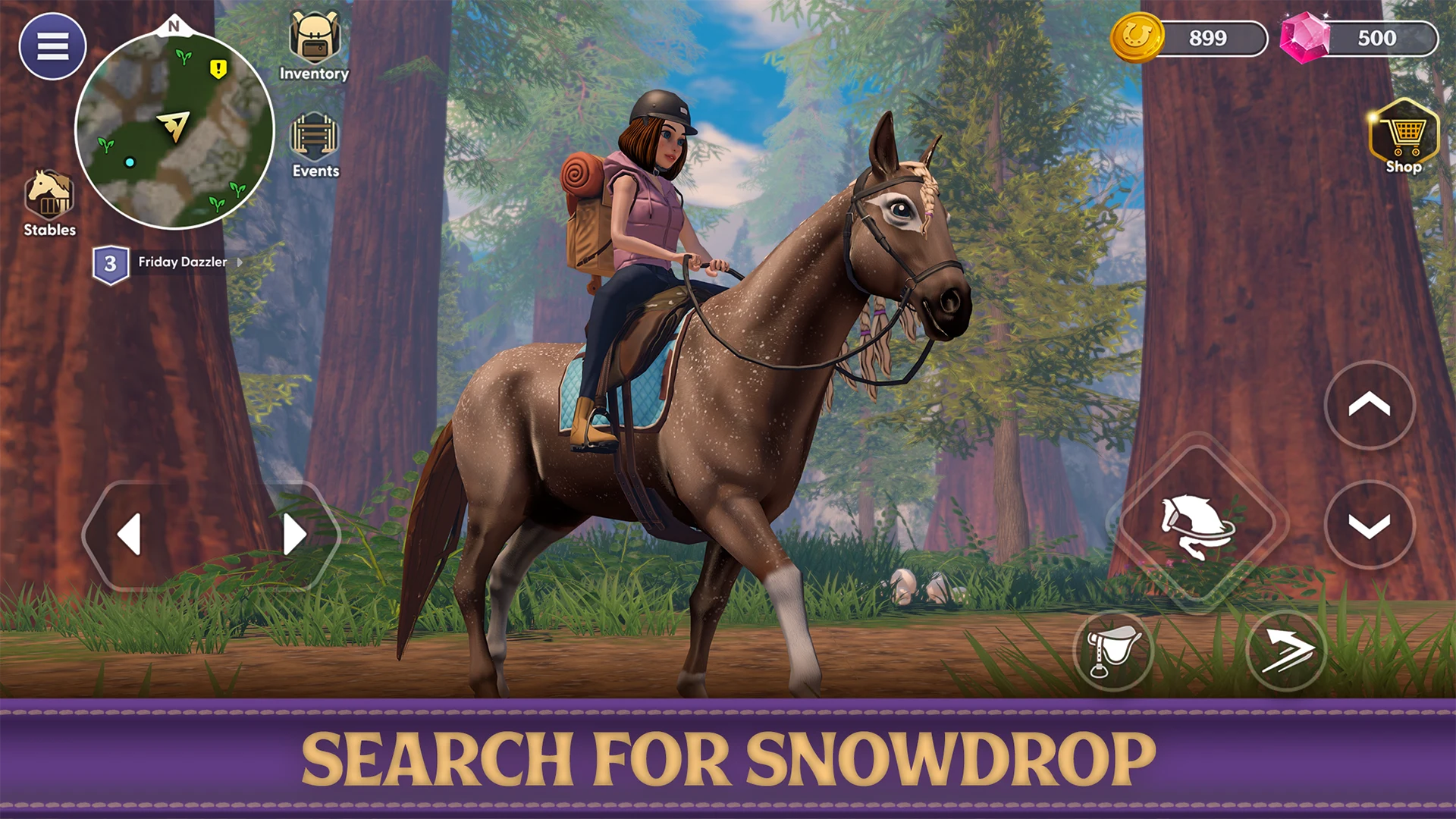 Star Equestrian - Horse Ranch screenshot